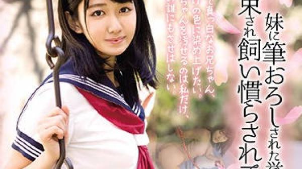 DDK-174 我被约束和驯服了-神宮寺ナオ